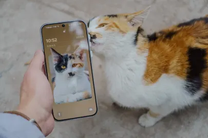 BetCart Kazino Mobilā lietotne